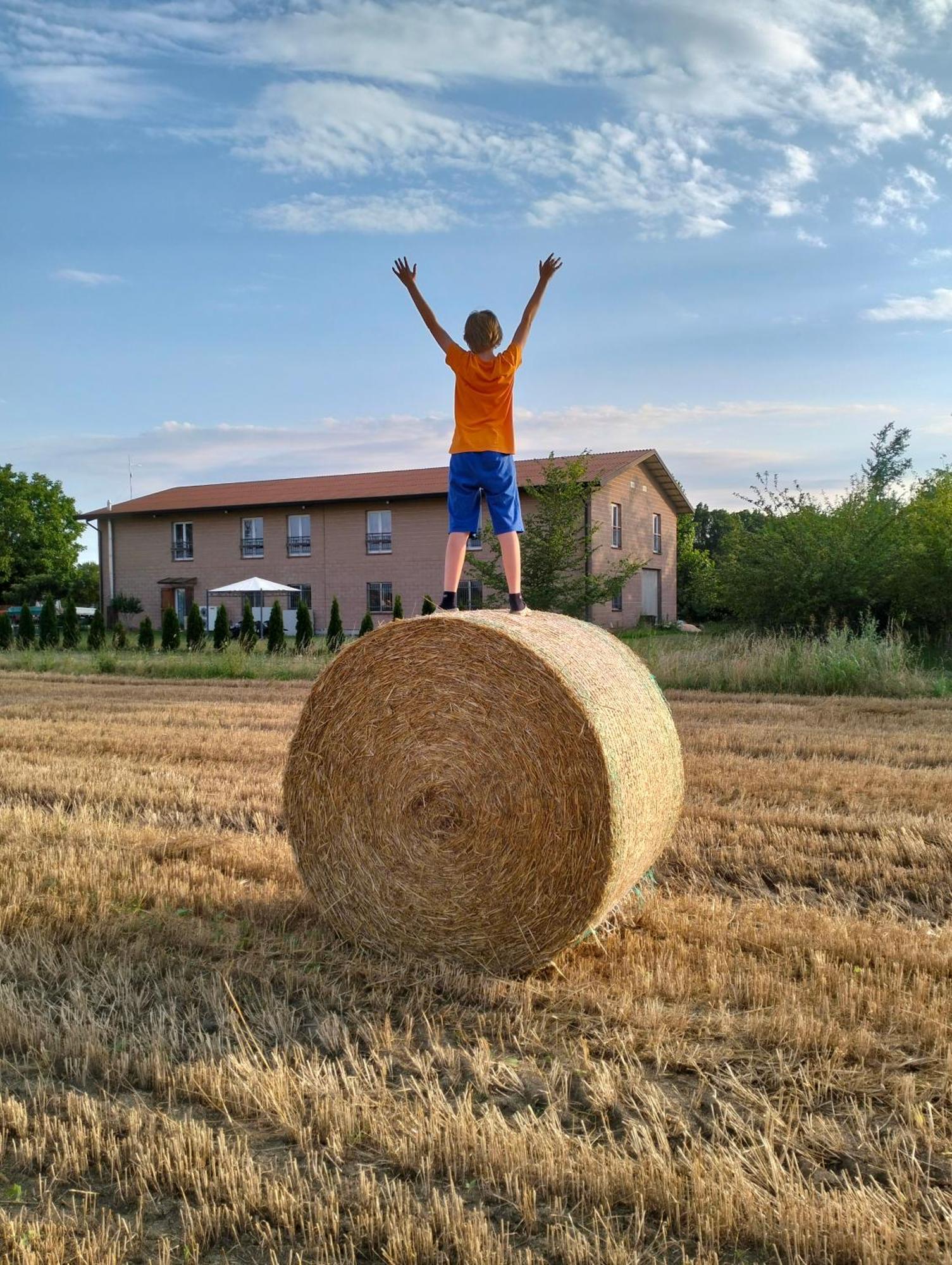 Agriturismo Campi Di Grano Roncade Dış mekan fotoğraf