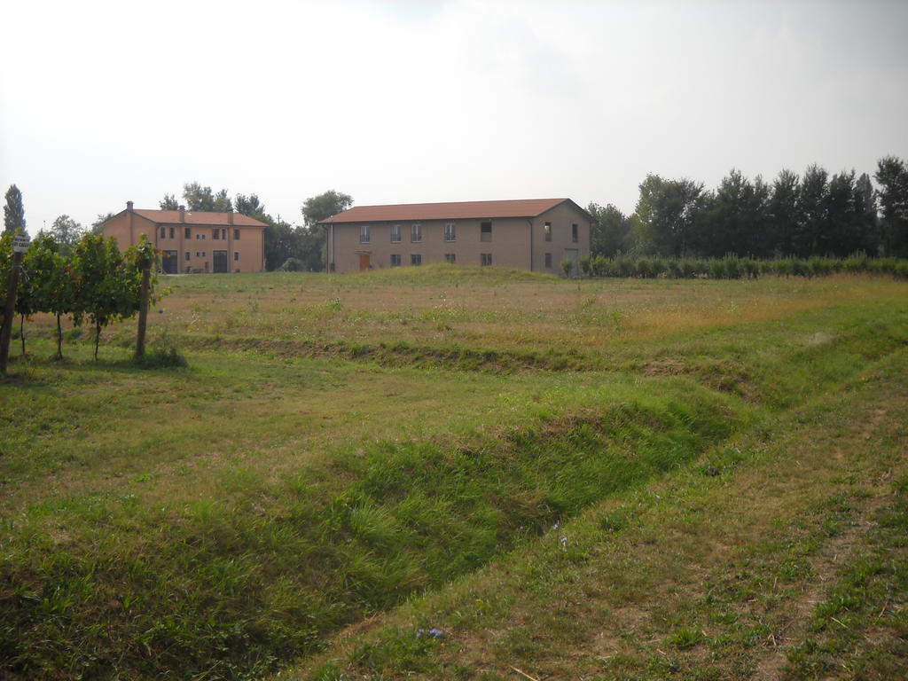 Agriturismo Campi Di Grano Roncade Dış mekan fotoğraf