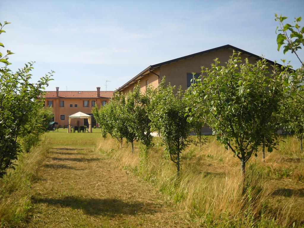 Agriturismo Campi Di Grano Roncade Dış mekan fotoğraf